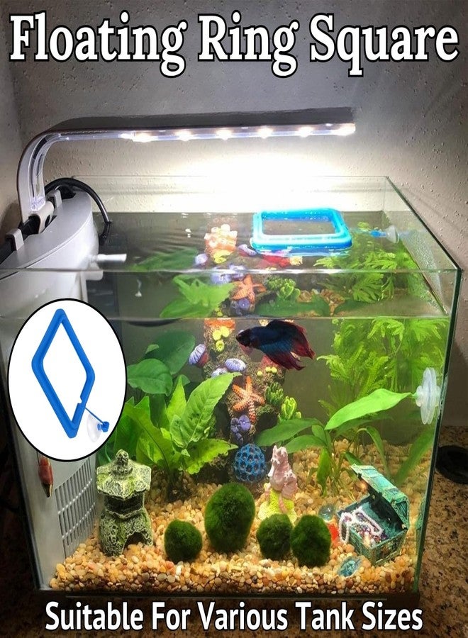 Western Era Aquarium Square Floating Feeding Ring | Adjustable Fish Feeding Tool for Flakes & Pellets | Prevents Water Pollution | Ideal for Betta, Goldfish, Guppies & More | Fish Tank Accessories - Image 2